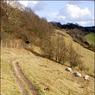 PathatAstonClinton.jpg