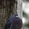 IMG_6447-01.jpg