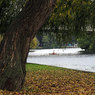 IMG_6457-01.jpg