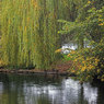 IMG_6485-01.jpg