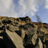_DSC1746.jpg