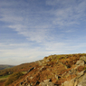 _DSC1762.jpg