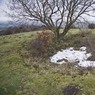 Beacon_Hill_4jan2011-1.jpg
