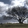 Chiltern_storm.jpg