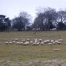 DSC_0496_web.jpg