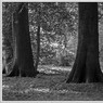 _MG_1967_edited-1.jpg