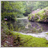 _MG_1968_edited-2.jpg