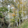 _DSC1676.jpg