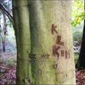 KLKim.jpg