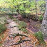 TheMoat.jpg