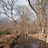 BBMar2009-6.jpg