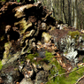 P1010298a.jpg