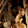 P1010349a.jpg