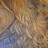 UnderFungus763.jpg