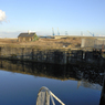 DSC_1673re.jpg
