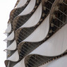 White-Swirls-Two---Richard.jpg
