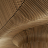 sn10.jpg
