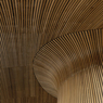 sn35.jpg
