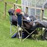 A_Hard_Day_at_the_Races.jpg