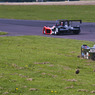 Momentarily_off_the_Track.jpg
