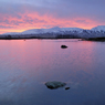 DSC_0231.jpg