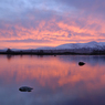DSC_0241.jpg