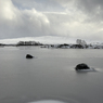 DSC_0582.jpg
