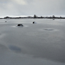 DSC_0588.jpg