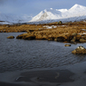 DSC_0716.jpg