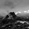 bw8.jpg