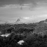 bw9.jpg