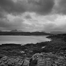 _DSC1949.jpg