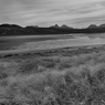 _DSC2027.jpg