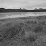 _DSC2029.jpg