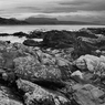 _DSC2043.jpg