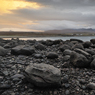 _DSC2095.jpg