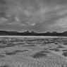 _DSC2176.jpg