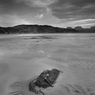 _DSC2192bwver2.jpg