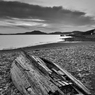 _DSC2256bwus.jpg