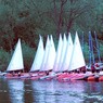 P5100067_edited-1.jpg