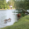 IMG_1409_edited-1.jpg