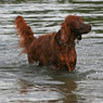 canon_179_club_walk_072.JPG