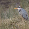 20100306-002.jpg