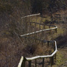 20100306-077-Edit.jpg