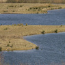 20100306-083.jpg