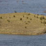 20100306-084.jpg