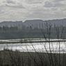 IMG_7612.jpg