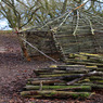 Tring_IMG_001.jpg