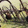 Tring_IMG_005.jpg