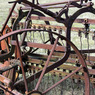 Tring_IMG_006.jpg